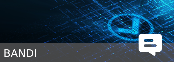 Bandi di gara e contratti